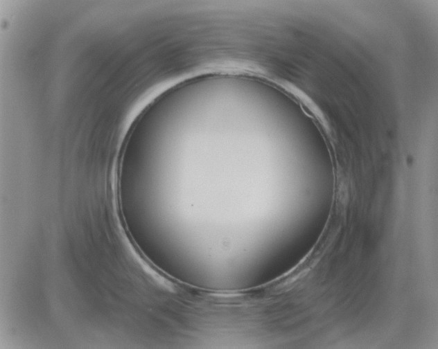 X0000081321343200701251758