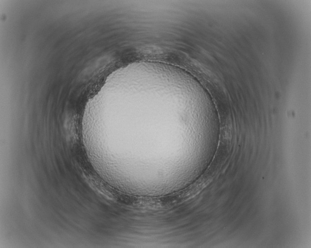 X0000081321346200701251758