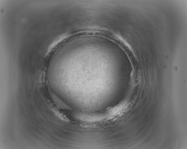 X0000081321352200701251757
