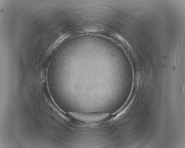 X0000081321353200701251757