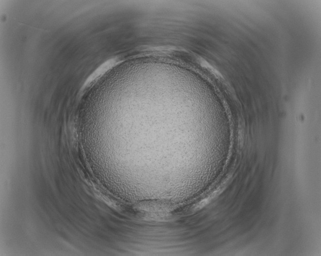 X0000081321354200701251757