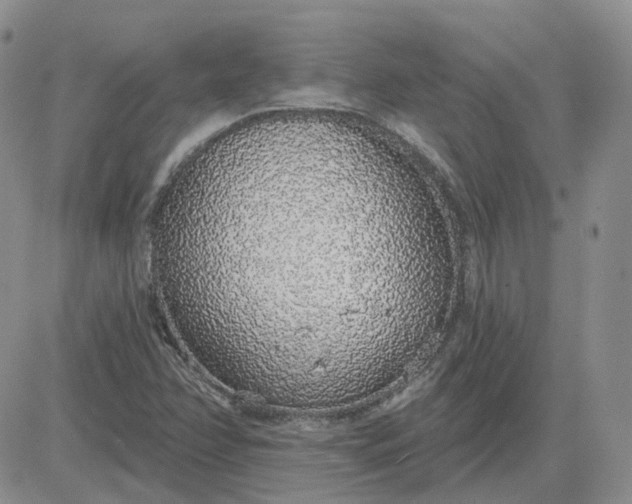 X0000081321358200701251757