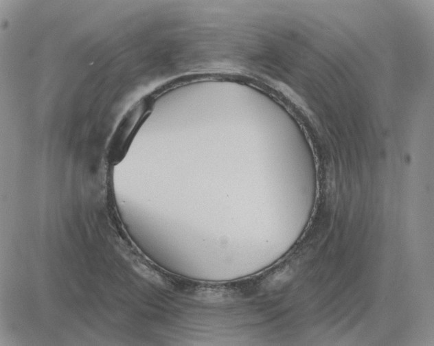 X0000081321364200701251757