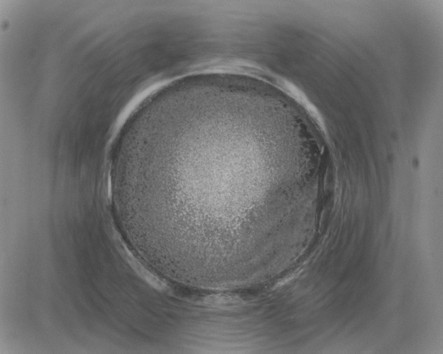 X0000081321368200701251757