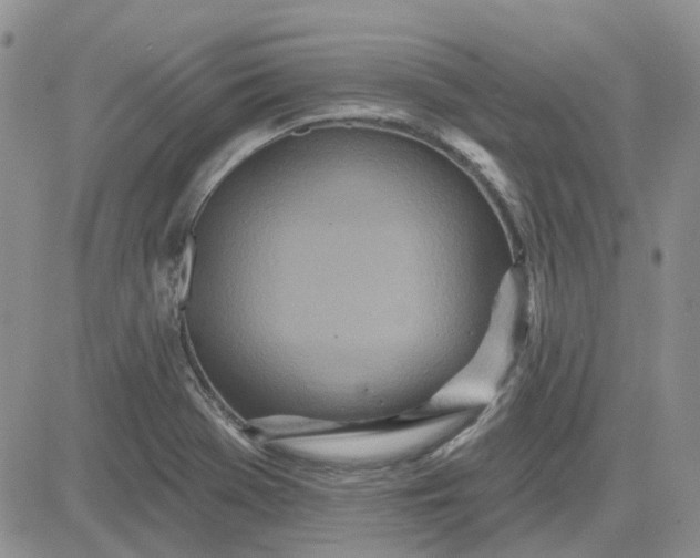 X0000081321369200701251757