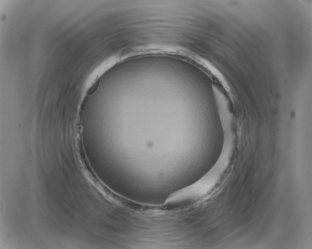 X0000081321373200701251757