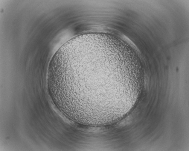 X0000081321378200701251757