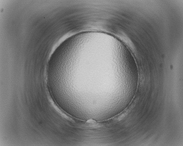 X0000081321382200701251757