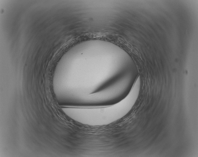 X0000081321393200701251756