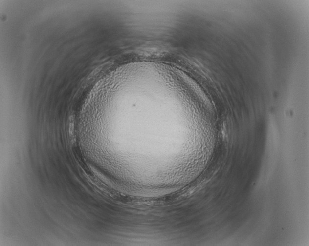 X0000081321396200701251756