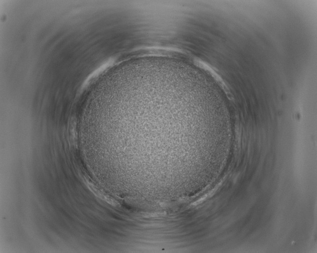 X0000081321403200701251756
