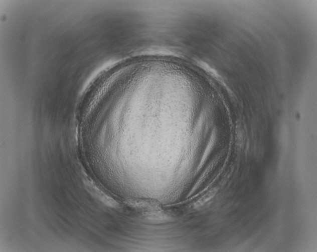 X0000081321408200701251756