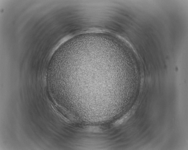 X0000081321409200701251756