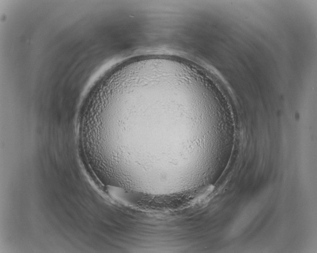 X0000081321416200701251756