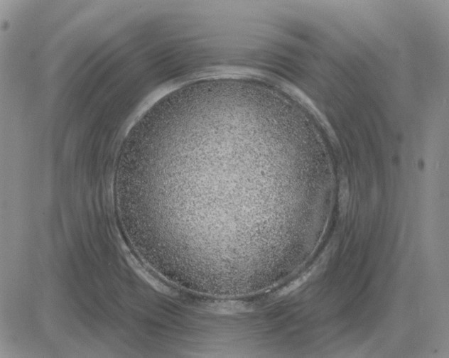 X0000081321417200701251756