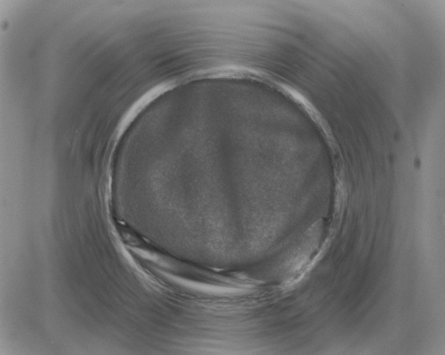 X0000081321418200701251756
