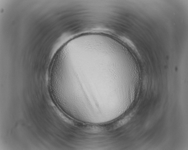 X0000081321420200701251756