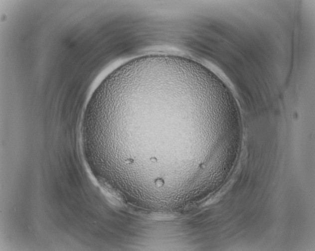 X0000081321440200701251757