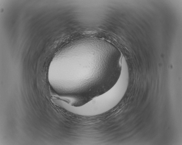 X0000081321441200701251756
