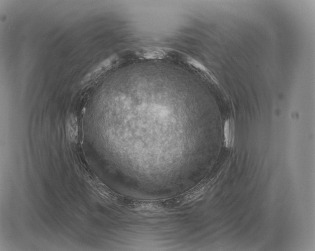 X0000081321443200701251756
