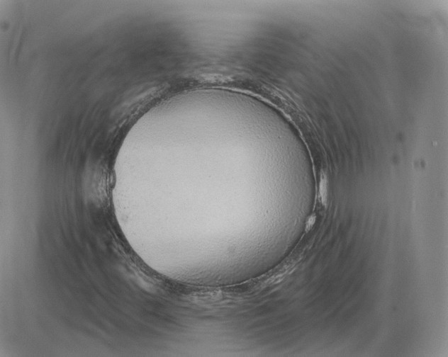 X0000081321444200701251756