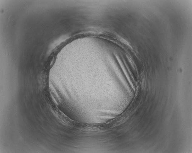 X0000081321448200701251756