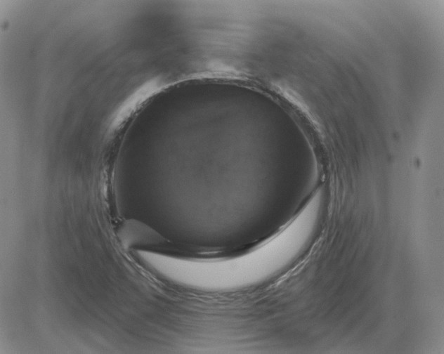 X0000081321455200701251756