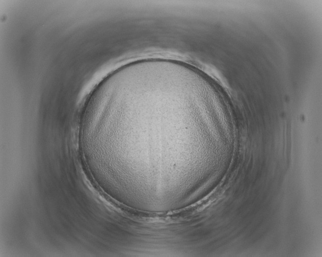X0000081321504200701251755