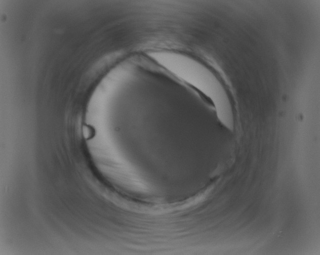 X0000081320019200702020011