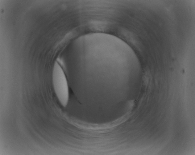 X0000081320027200702020010