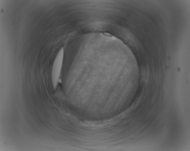 X0000081320029200702020010