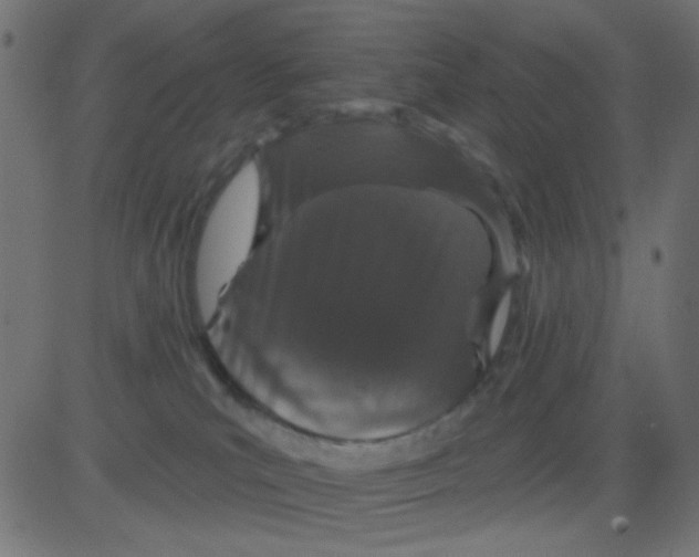 X0000081320039200702020010