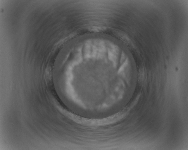X0000081320043200702020010