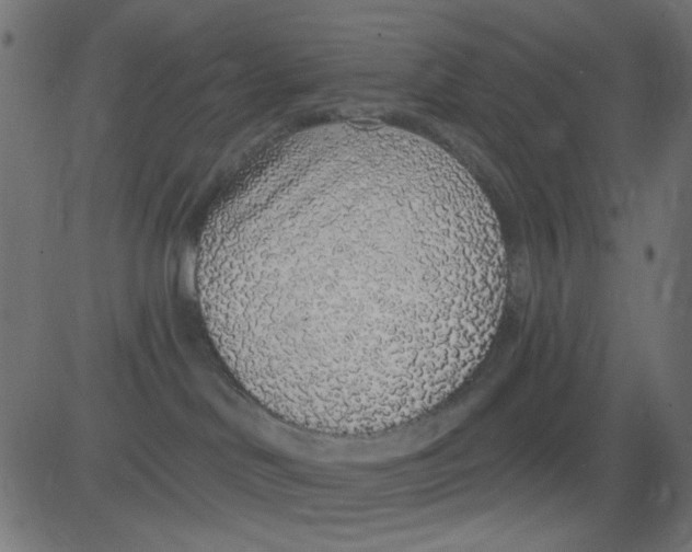 X0000081320046200702020010