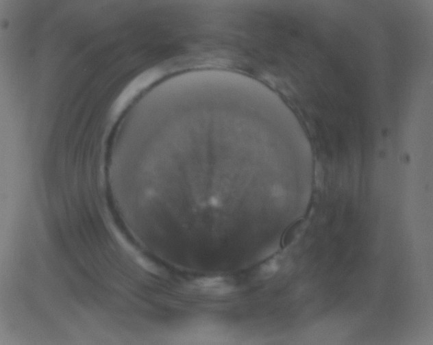 X0000081320054200702020009
