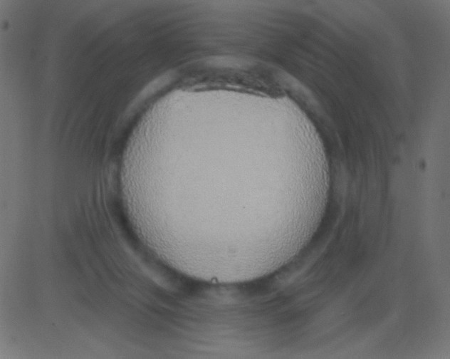 X0000081320071200702020010