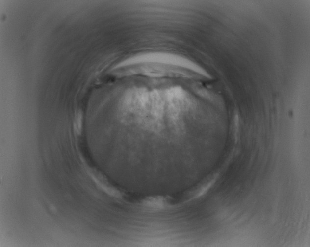 X0000081320076200702020010