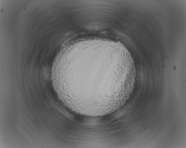 X0000081320081200702020010