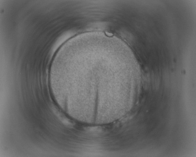 X0000081320100200702020009