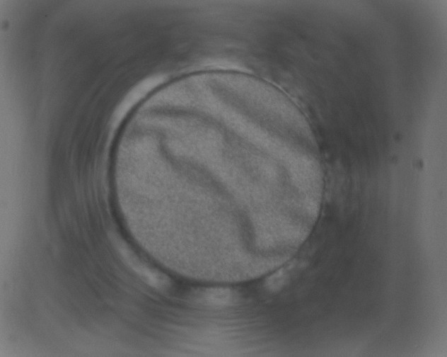 X0000081320104200702020009