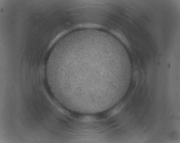 X0000081320111200702020009