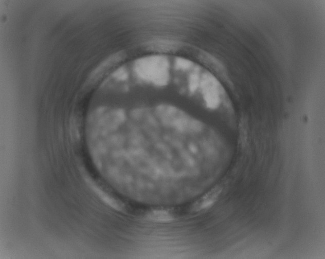 X0000081320114200702020009