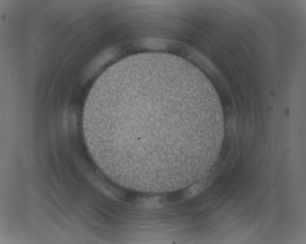 X0000081320120200702020009