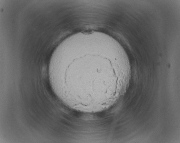 X0000081320123200702020009