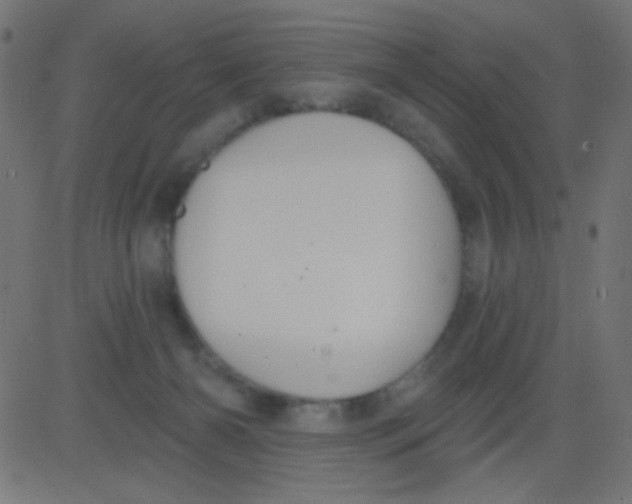X0000081320126200702020009