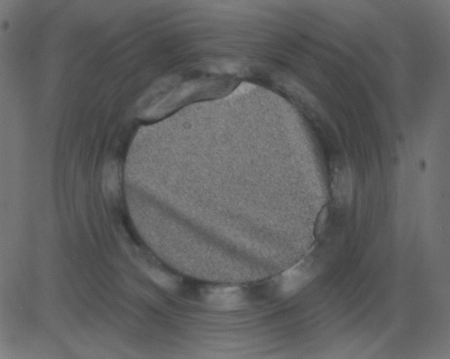 X0000081320132200702020009