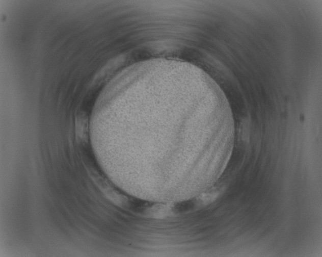 X0000081320138200702020009