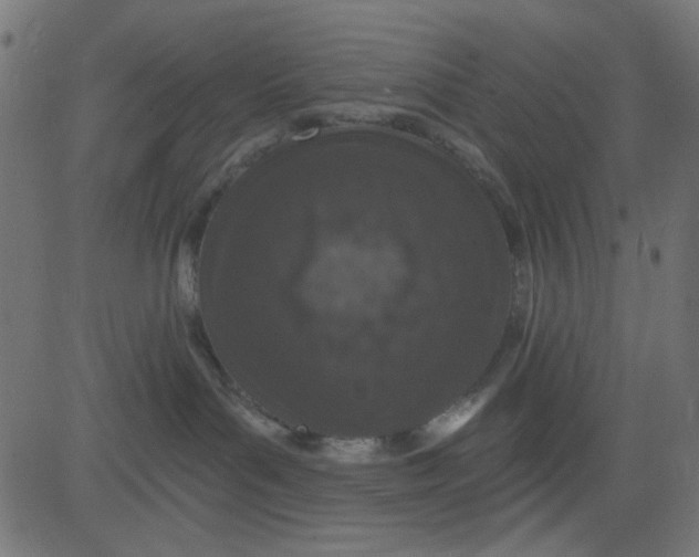 X0000081320143200702020009