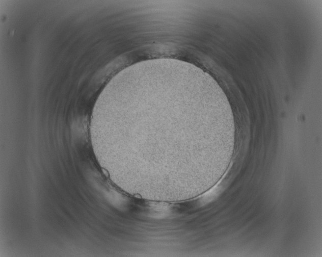 X0000081320144200702020008