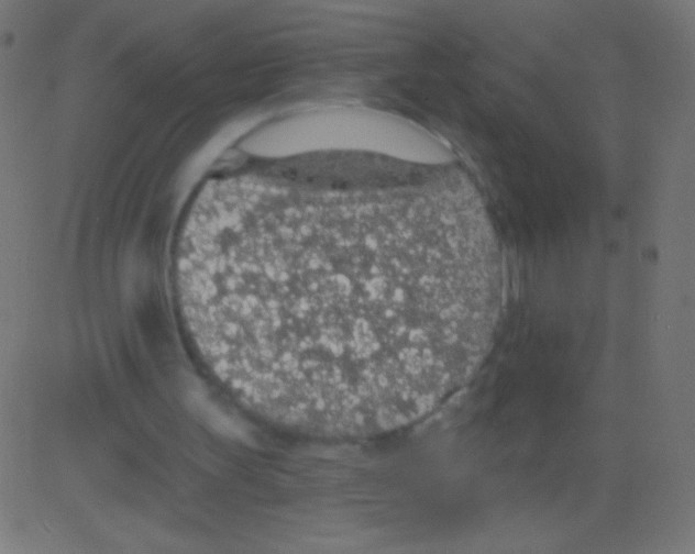X0000081320147200702020008